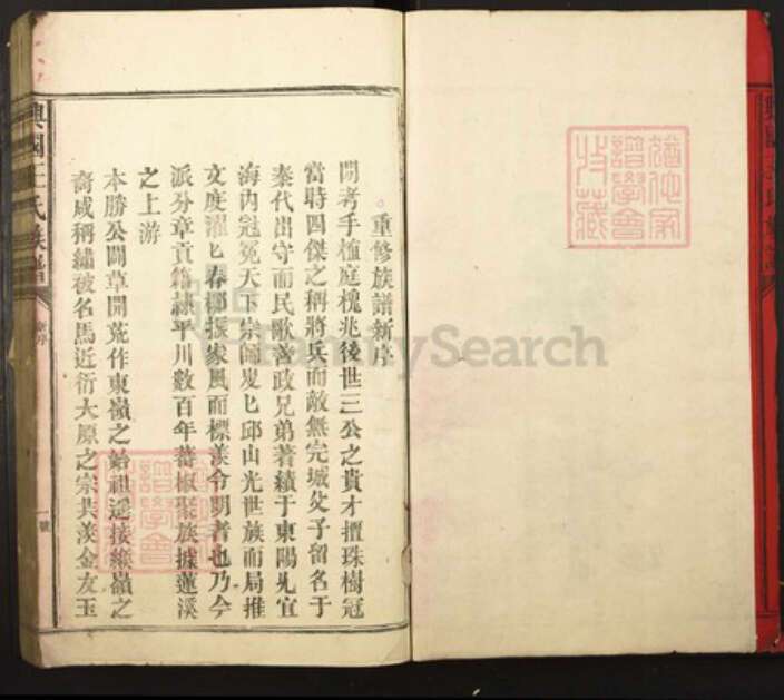 江西省赣州市兴国县王氏族谱-兴国王氏族谱.pdf电子版预览图1