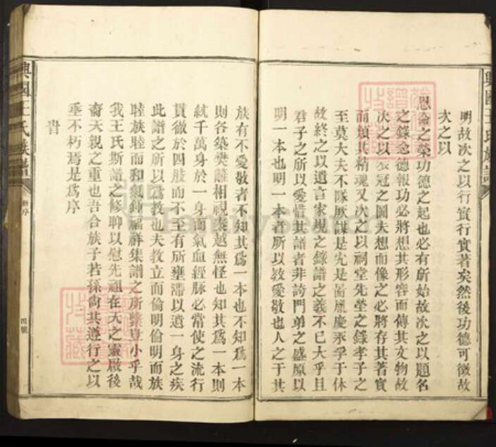 江西省赣州市兴国县王氏族谱-兴国王氏族谱.pdf电子版预览图4