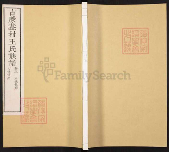 山东省枣庄市滕州市滨湖镇王氏族谱-古滕葢村王氏族谱.pdf电子版缩略图