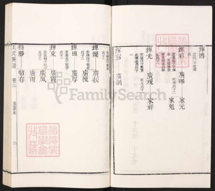 山东省枣庄市滕州市滨湖镇王氏族谱-古滕葢村王氏族谱.pdf电子版预览图2