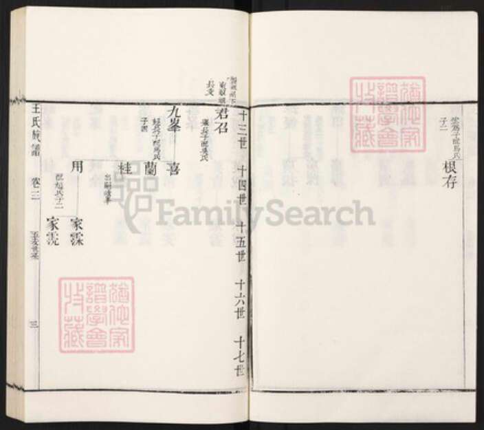 山东省枣庄市滕州市滨湖镇王氏族谱-古滕葢村王氏族谱.pdf电子版预览图3