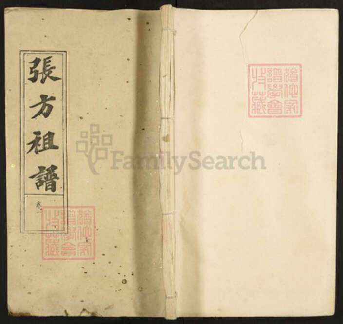 湖北省武汉市江夏区湖北省武汉市江夏区张；张；方氏敦本堂族谱-张方祖谱.pdf电子版缩略图