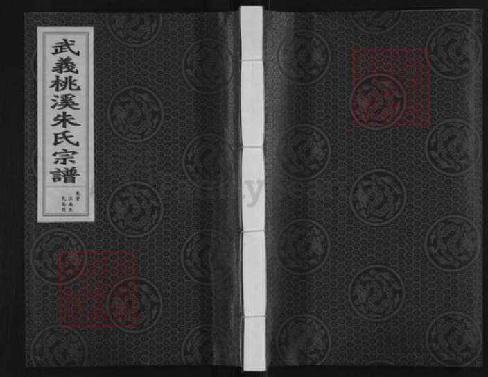 浙江省金华市武义县履坦镇朱氏族谱-武义桃溪朱氏宗谱.pdf电子版缩略图