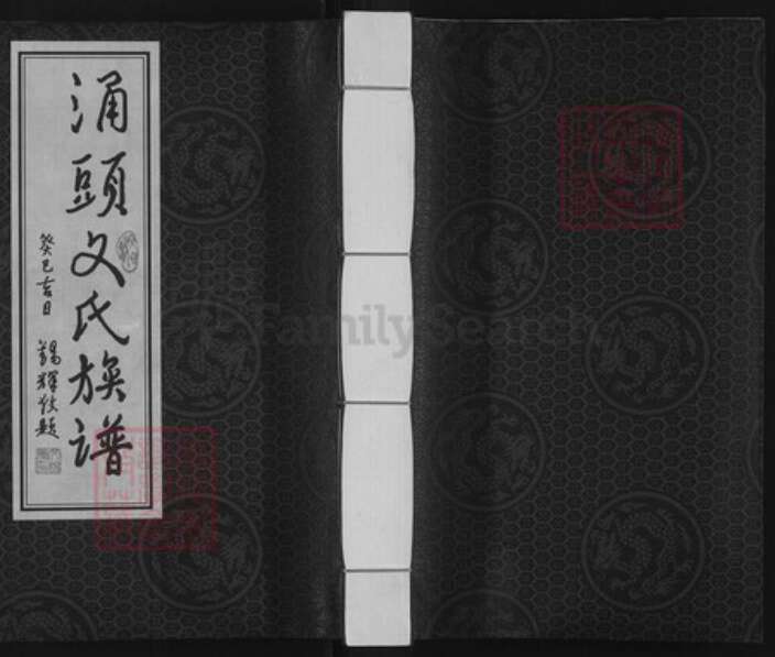 广东省东莞市长安镇文氏信国堂族谱-涌头文氏族谱.pdf电子版缩略图