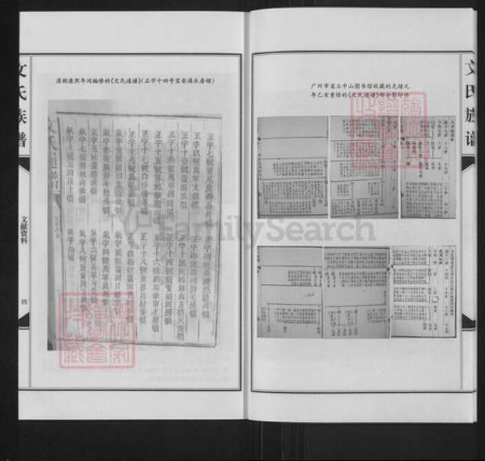 广东省东莞市长安镇文氏信国堂族谱-涌头文氏族谱.pdf电子版预览图5