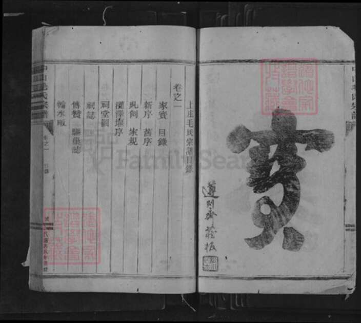 浙江省丽水市松阳县三都乡毛氏族谱-中山毛氏宗谱.pdf电子版预览图2