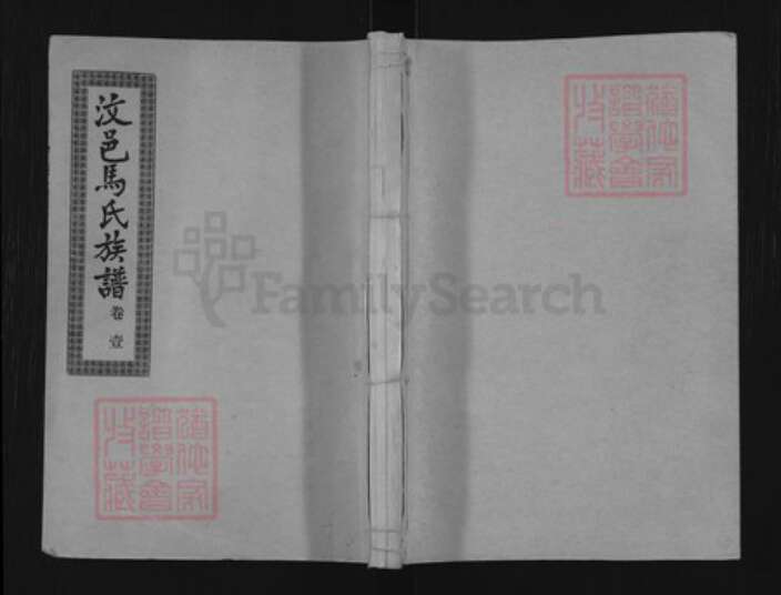 山东省济宁市汶上县次丘镇马氏敦睦堂族谱-汶邑马氏族谱.pdf电子版缩略图