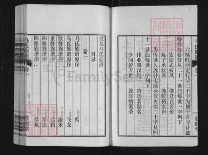 山东省济宁市汶上县次丘镇马氏敦睦堂族谱-汶邑马氏族谱.pdf电子版预览图2