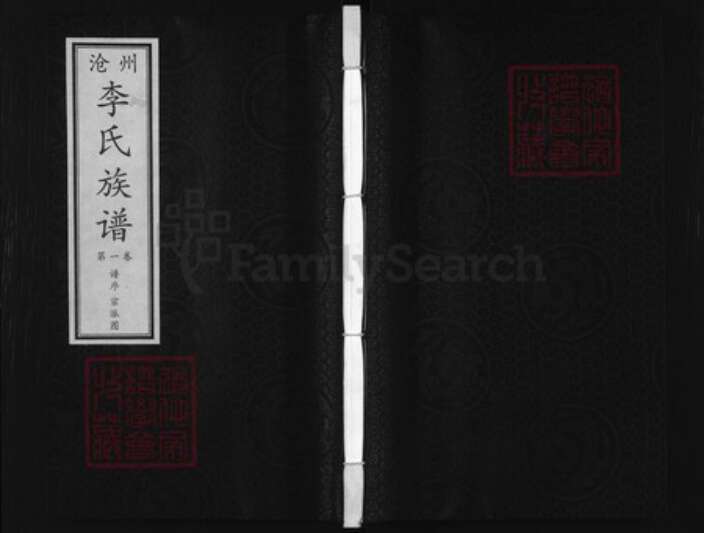 河北省沧州沧州地区南皮李氏族谱-沧州李氏族谱.pdf电子版缩略图