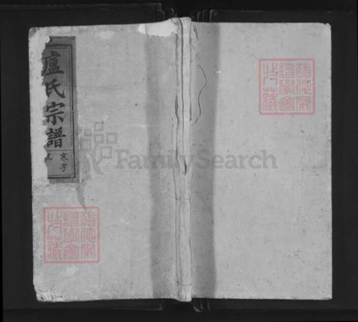 安徽省安庆市太湖县卢氏孝友堂族谱-卢氏宗谱.pdf电子版缩略图