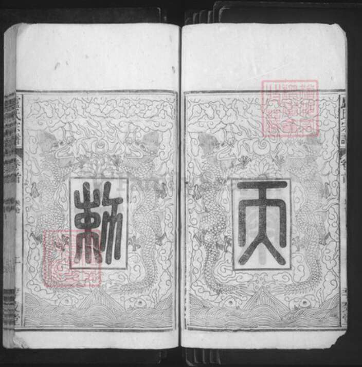 安徽省安庆市太湖县卢氏孝友堂族谱-卢氏宗谱.pdf电子版预览图3