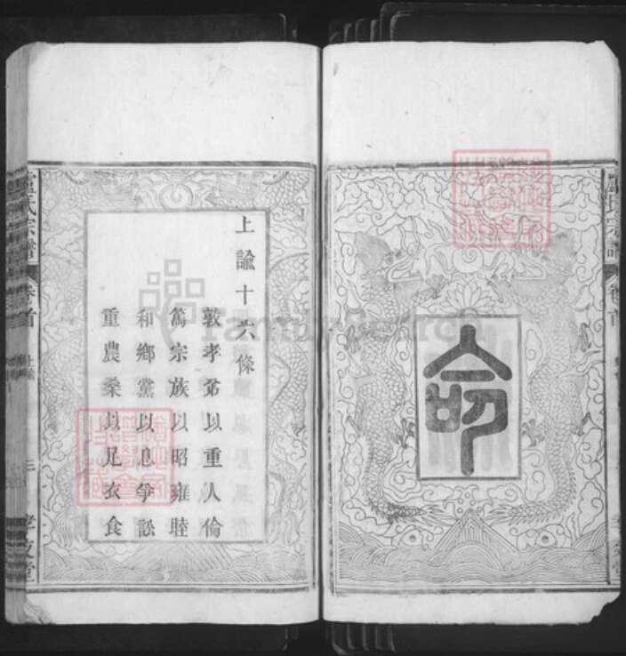 安徽省安庆市太湖县卢氏孝友堂族谱-卢氏宗谱.pdf电子版预览图4