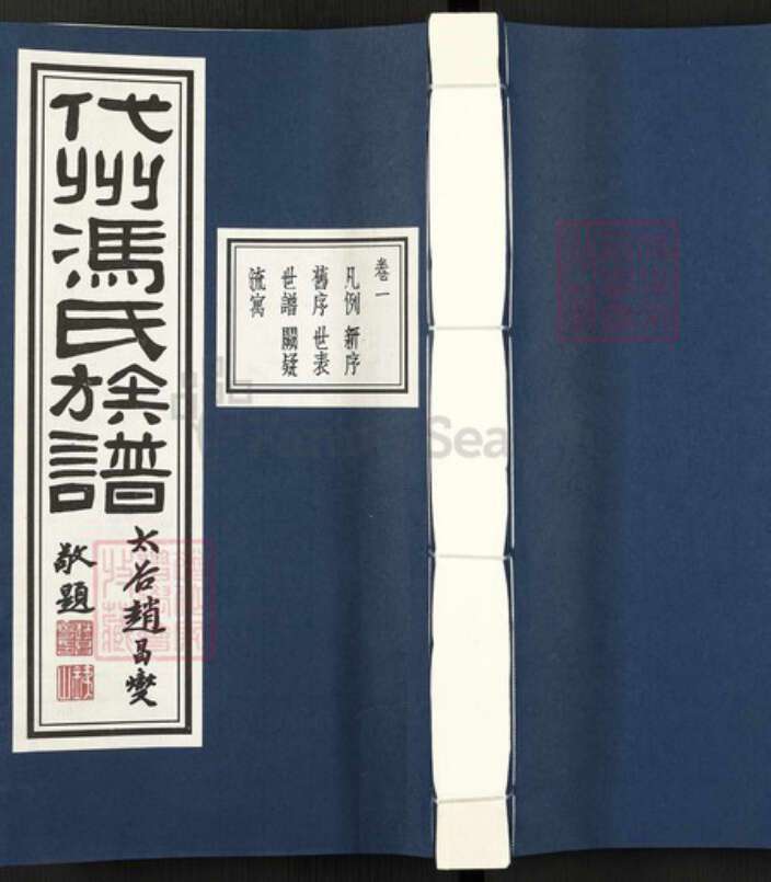 山西省忻州市代县冯氏族谱-代州冯氏族谱.pdf电子版缩略图