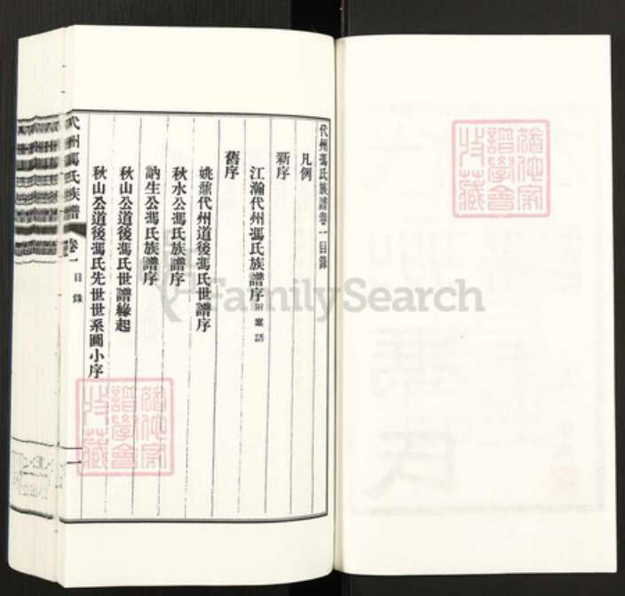 山西省忻州市代县冯氏族谱-代州冯氏族谱.pdf电子版预览图2