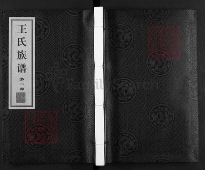 山东省德州市武城县王氏族谱-王氏族谱.pdf电子版缩略图