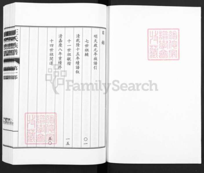 山东省德州市武城县王氏族谱-王氏族谱.pdf电子版预览图1