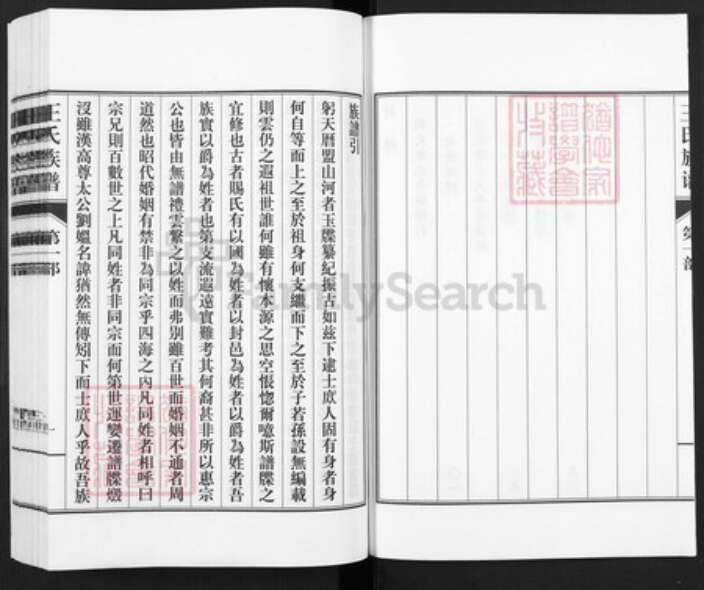 山东省德州市武城县王氏族谱-王氏族谱.pdf电子版预览图2