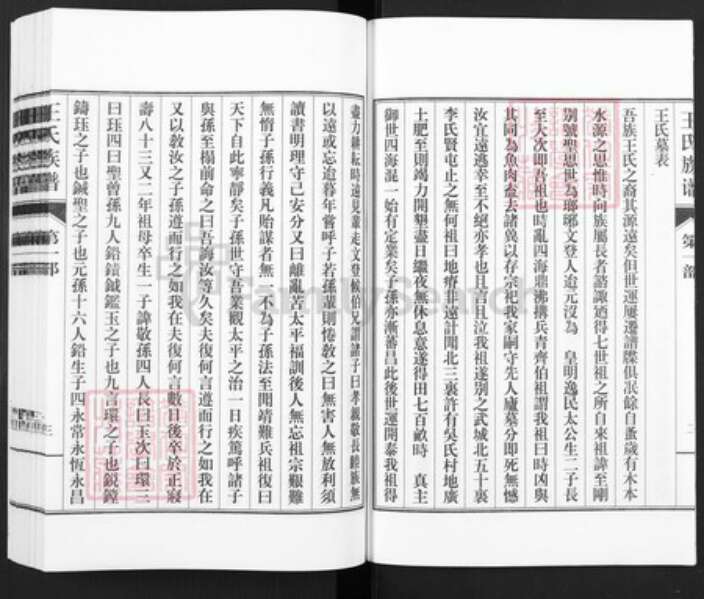 山东省德州市武城县王氏族谱-王氏族谱.pdf电子版预览图4