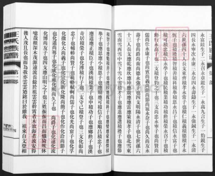 山东省德州市武城县王氏族谱-王氏族谱.pdf电子版预览图5