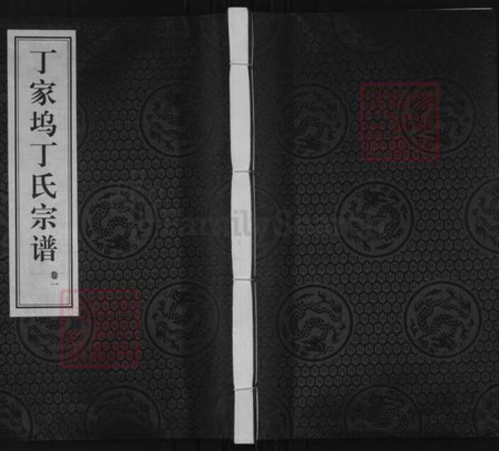 浙江省绍兴诸暨市诸暨浙江省绍兴诸暨市诸暨丁氏敦伦堂族谱-丁家坞丁氏宗谱.pdf电子版缩略图