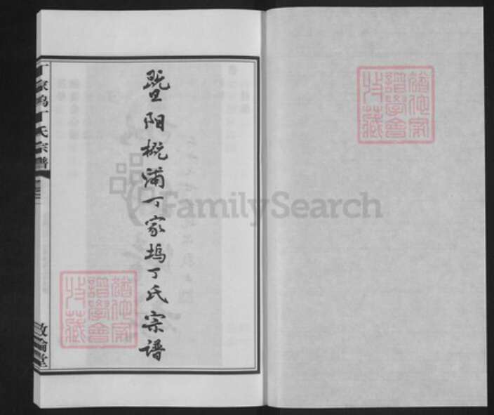 浙江省绍兴诸暨市诸暨浙江省绍兴诸暨市诸暨丁氏敦伦堂族谱-丁家坞丁氏宗谱.pdf电子版预览图1