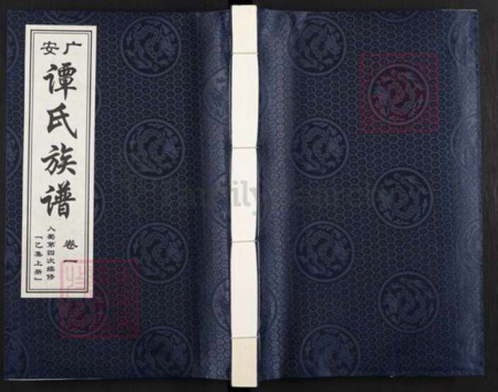 四川省广安市广安区花桥镇谭氏敦本堂族谱-广安谭氏族谱.pdf电子版缩略图