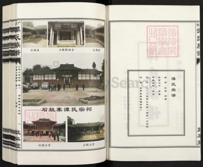 四川省广安市广安区花桥镇谭氏敦本堂族谱-广安谭氏族谱.pdf电子版预览图2