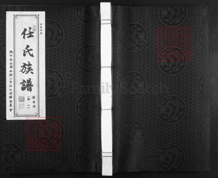 陕西省榆林府谷县任氏积善堂族谱-任氏族谱.辑和都二甲.pdf电子版缩略图