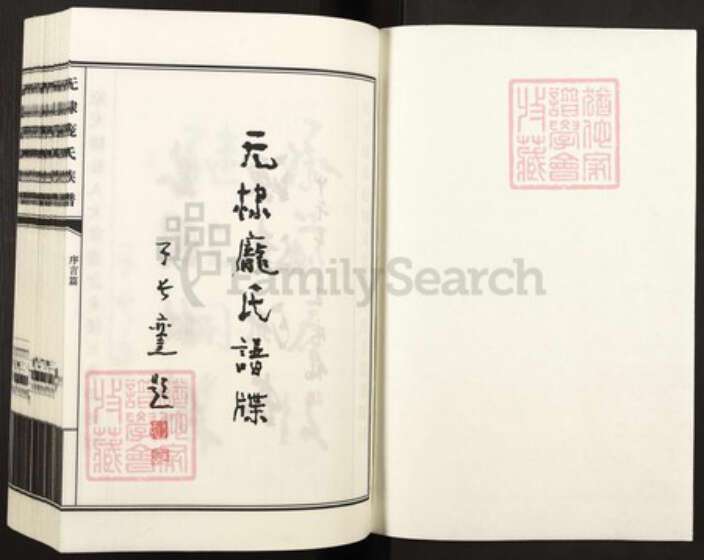 山东省滨州市无棣县庞氏族谱-无棣庞氏谱牒.pdf电子版预览图1
