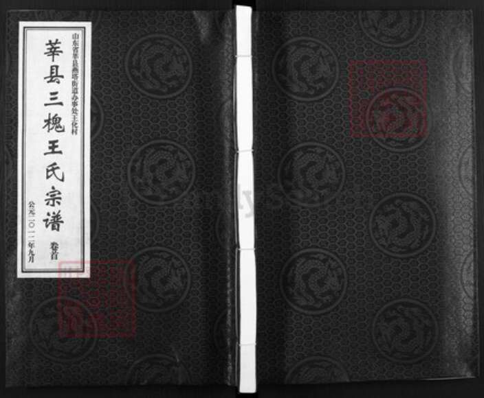 山东省聊城市莘县燕塔街道王氏三槐堂族谱-莘县三槐王氏宗谱.pdf电子版缩略图