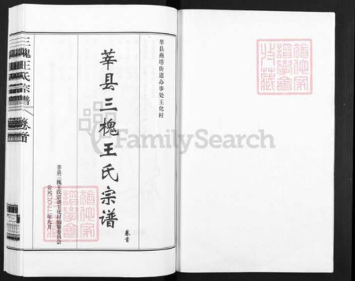 山东省聊城市莘县燕塔街道王氏三槐堂族谱-莘县三槐王氏宗谱.pdf电子版预览图1