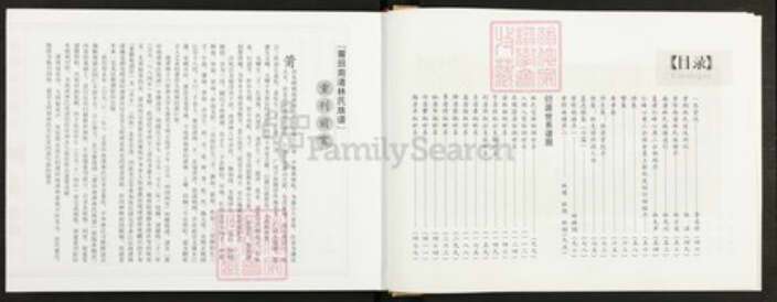 福建省莆田市秀屿区东峤镇#REF!林氏族谱-莆田南渚林氏族谱.pdf电子版预览图4