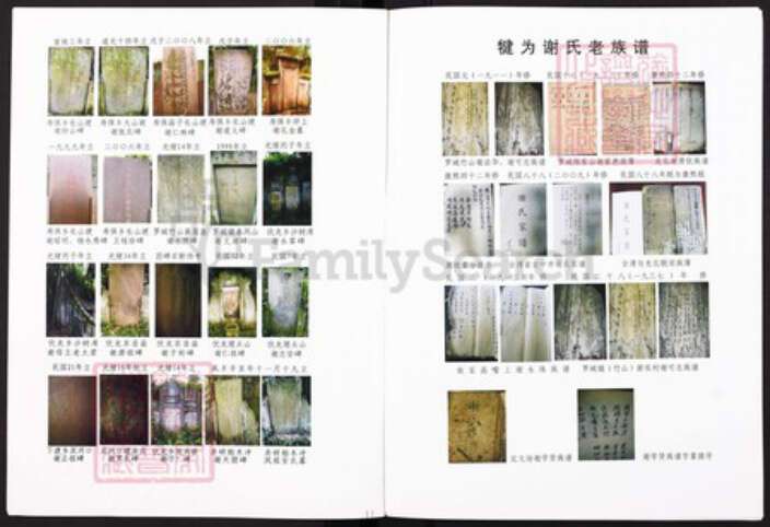 四川省乐山市市中区苏稽镇谢氏安晋堂族谱-犍为县谢氏族谱.pdf电子版预览图5