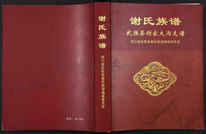 四川省广安市武胜县沿口镇谢氏宝树堂族谱-谢氏族谱.武胜县谢家大沟支谱.pdf电子版缩略图