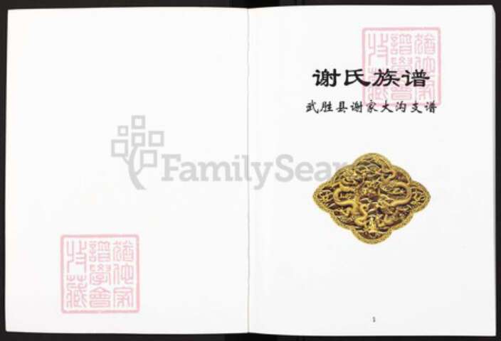 四川省广安市武胜县沿口镇谢氏宝树堂族谱-谢氏族谱.武胜县谢家大沟支谱.pdf电子版预览图1