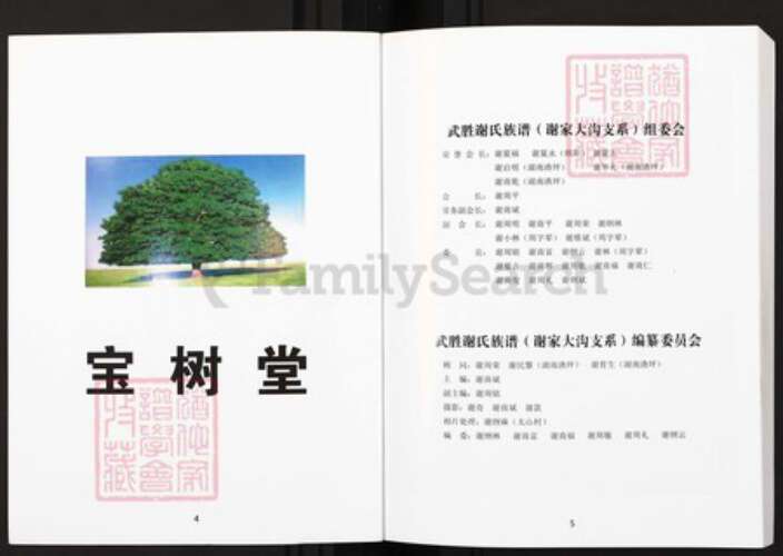 四川省广安市武胜县沿口镇谢氏宝树堂族谱-谢氏族谱.武胜县谢家大沟支谱.pdf电子版预览图3