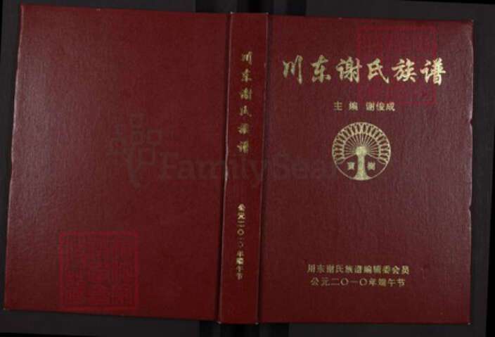 四川省达州市大竹县谢氏族谱-川东谢氏族谱.pdf电子版缩略图