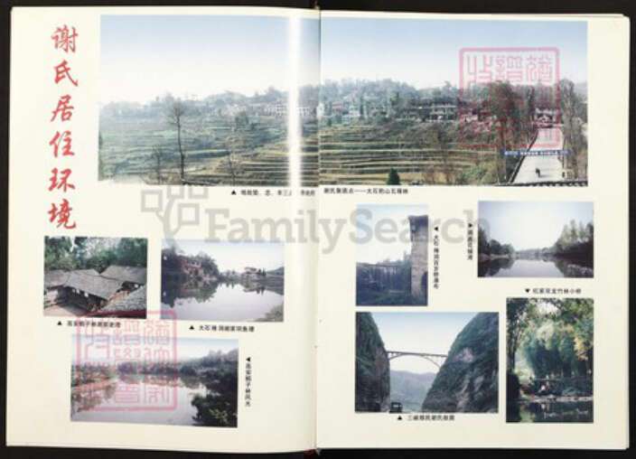 四川省达州市大竹县重庆市垫江县桂溪街道谢；谢氏族谱-垫江谢氏志.pdf电子版预览图4