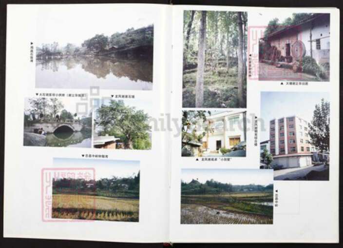 四川省达州市大竹县重庆市垫江县桂溪街道谢；谢氏族谱-垫江谢氏志.pdf电子版预览图5