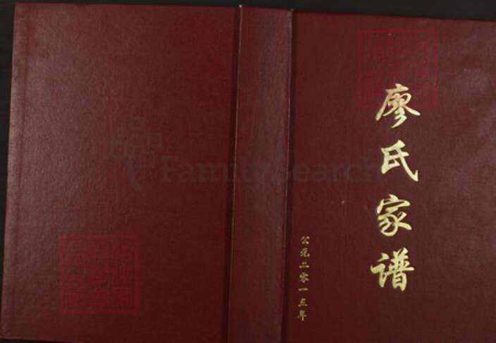 重庆市綦江区廖氏族谱-廖氏家谱.pdf电子版缩略图