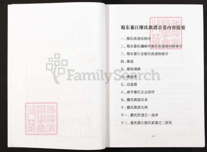 重庆市綦江区廖氏族谱-廖氏家谱.pdf电子版预览图5