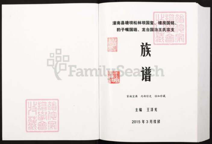 四川省成都市大邑县重庆市铜梁区王氏族谱-王氏族谱.pdf电子版预览图1