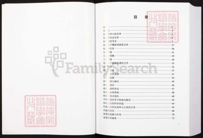 四川省成都市大邑县重庆市铜梁区王氏族谱-王氏族谱.pdf电子版预览图2