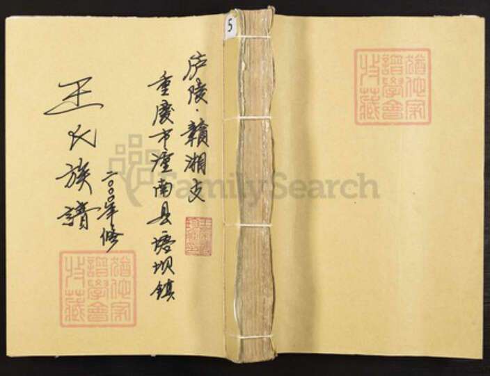 重庆市潼南区塘坝镇王氏族谱-王氏族谱.庐陵赣湘支.pdf电子版缩略图