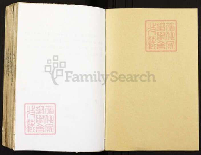 重庆市潼南区塘坝镇王氏族谱-王氏族谱.庐陵赣湘支.pdf电子版预览图1