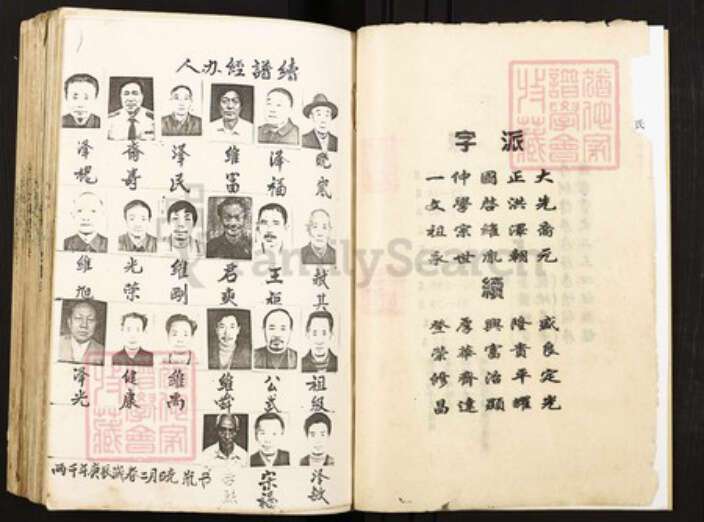 重庆市潼南区塘坝镇王氏族谱-王氏族谱.庐陵赣湘支.pdf电子版预览图3