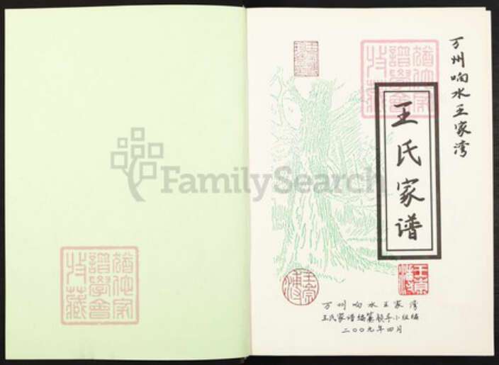 重庆市万州万县响水镇王氏族谱-王氏家谱.pdf电子版预览图1