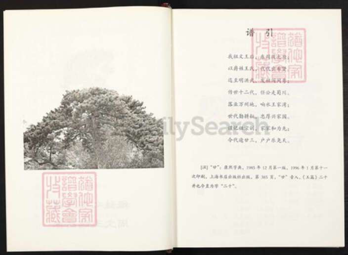 重庆市万州万县响水镇王氏族谱-王氏家谱.pdf电子版预览图4