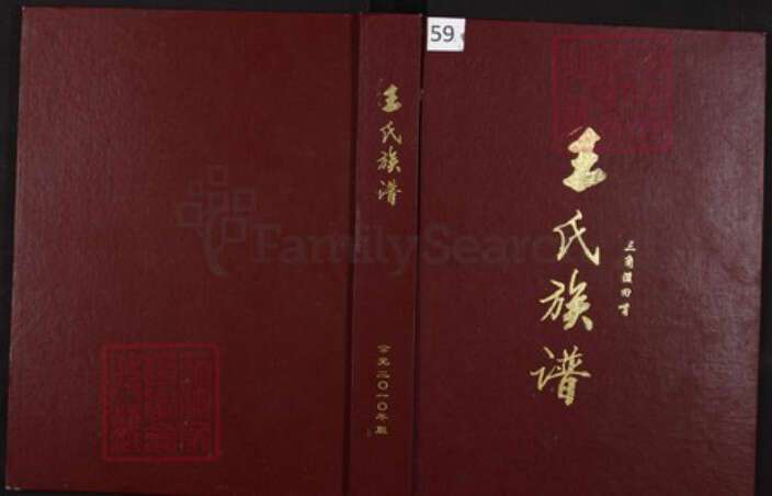 重庆市綦江区王氏族谱-王氏族谱.pdf电子版缩略图