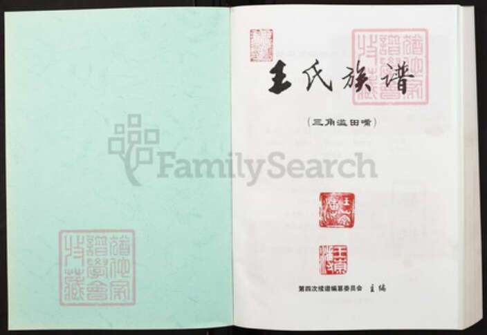 重庆市綦江区王氏族谱-王氏族谱.pdf电子版预览图1